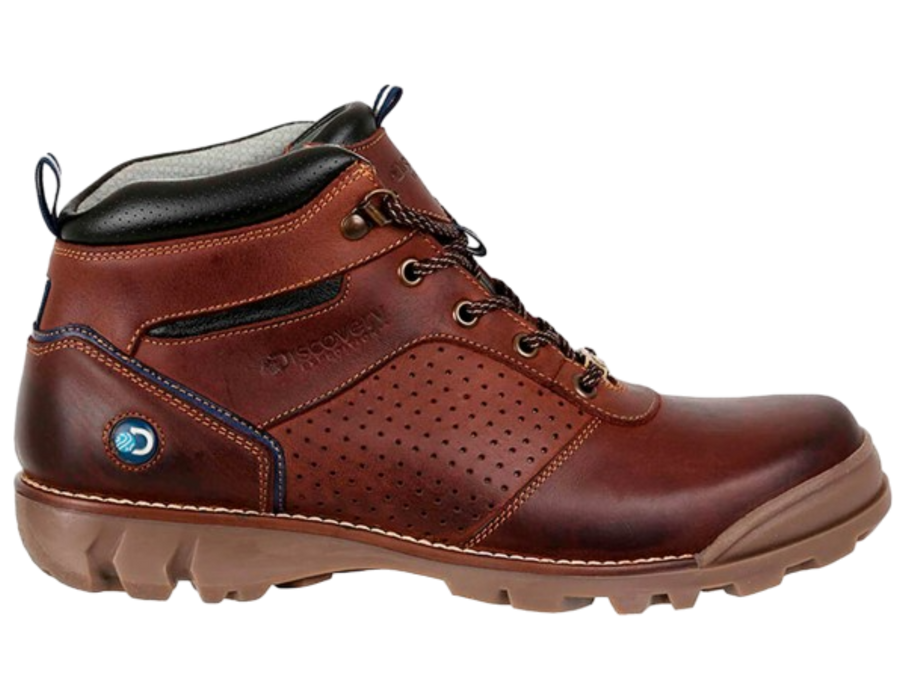 Bota Discovery Forlandet Café